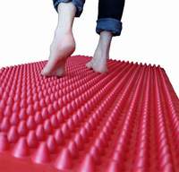 AOK Wide Sensory Walkway - Red