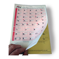 Swiss Ball Exercise Prescription Pad