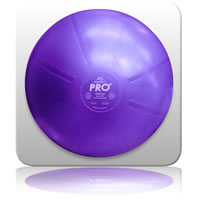 mediBall Pro 45cm - Purple